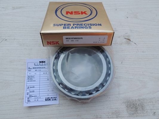 NSK NN3018