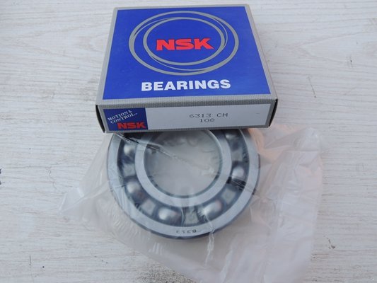 NSK 6313